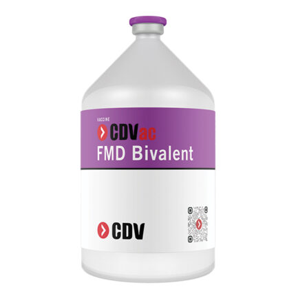 CDVac FMD Bivalent Vaccine