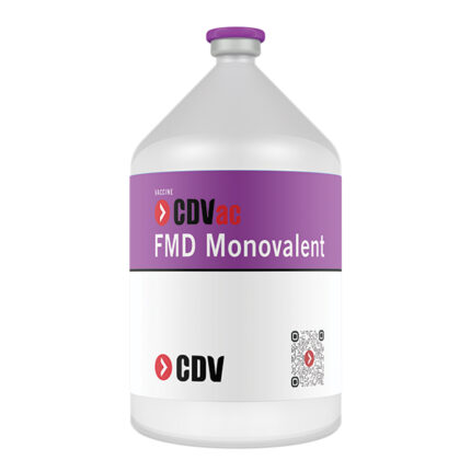 CDVac FMD Monovalent Vaccine