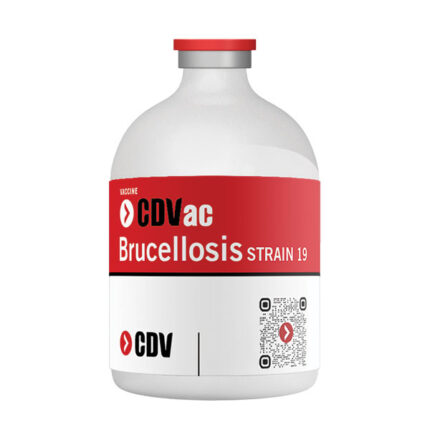 CDVac Brucellosis Strain 19 Vaccine